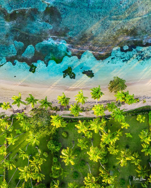 Shore Stimulations (Dominican Republic Top Down Drone Beach)